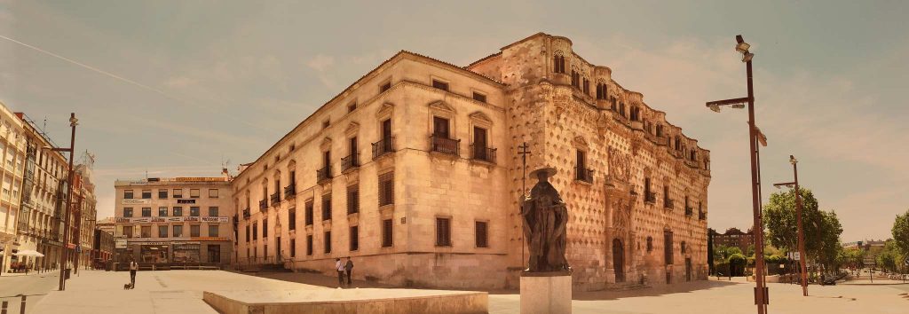 Agencia-SEO-de-Guadalajara-2020